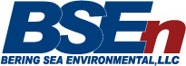 BSEn Company Logo